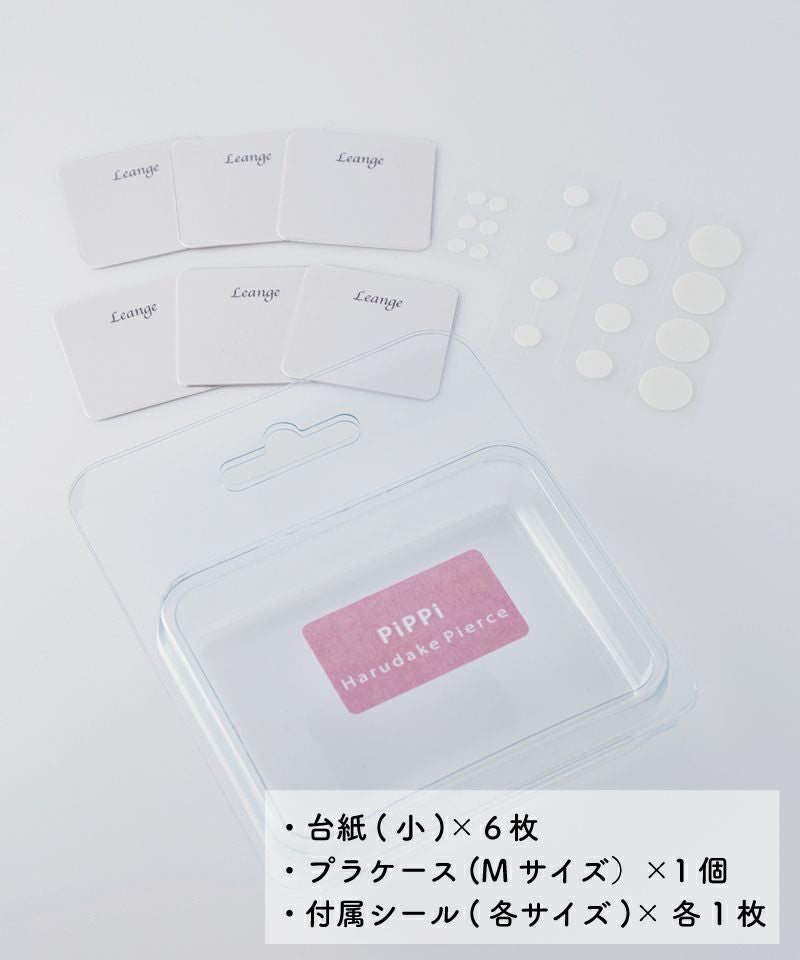 ピアス6点&豪華おまけ付きセット＊typeB | Leange WEB SHOP